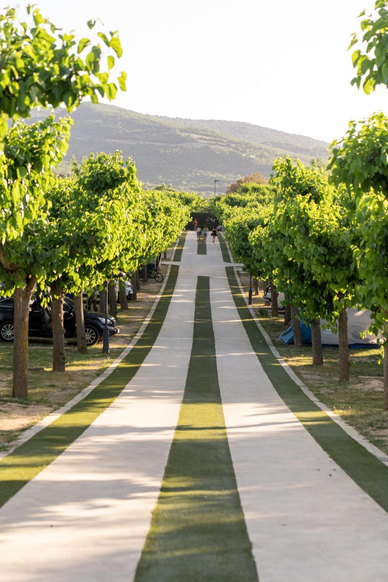 Vall D'Ager Resort & Camping Екстериор снимка